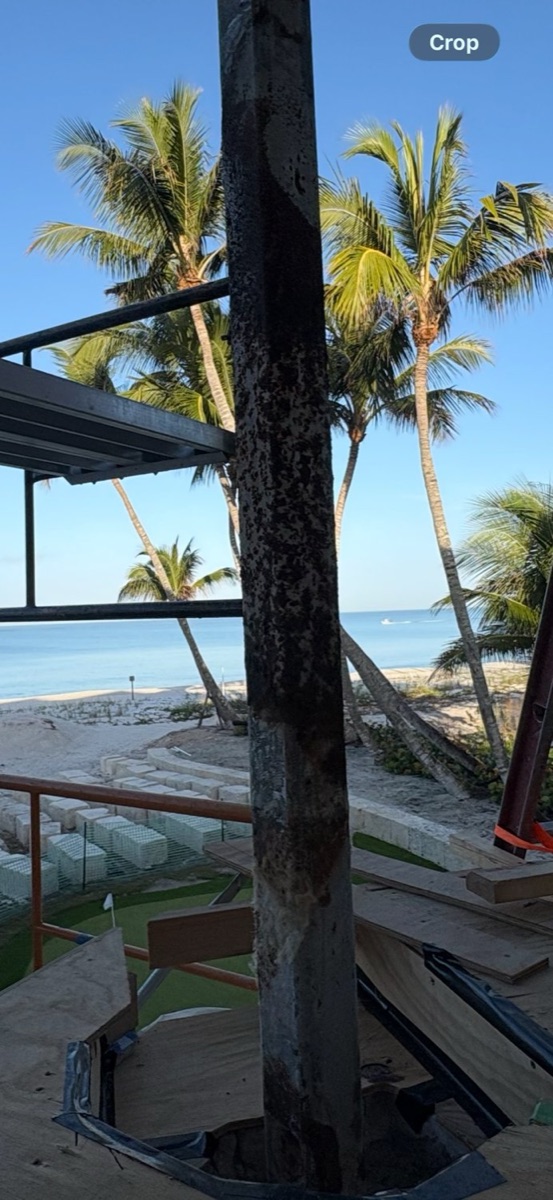 Paver driveway lined with palms at a Southwest Florida home after media blasting